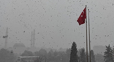 Mart ayının son gününde sürpriz kar yağışı