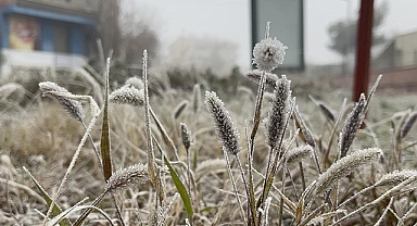 Meteorolojiden Diyarbakır için ‘zirai don’ uyarısı