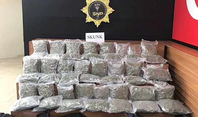 Şanlıurfa'da çekicide 25 kilo skunk ele geçirildi