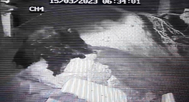 Selin yeni  görüntüleri ortaya çıktı