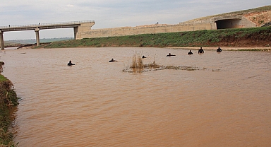 Urfa’da akıntıya kapılan kızı kurtarma çalışması sürüyor