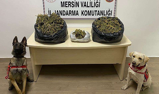 Uyuşturucu operasyonu: 2 gözaltı