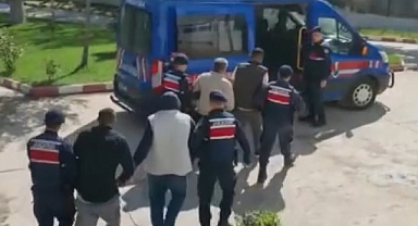 33 kilo bonzai ele geçirildi