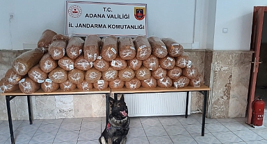 925 kilogram kaçak tütün ele geçirildi