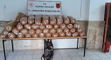925 kilogram kaçak tütün ele geçirildi