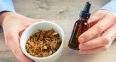 Arılardan gelen doğal antibiyotik 'propolis'