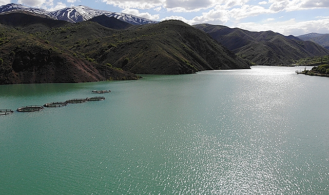 Eriyen kar suları Dicle Nehrine nefes oldu
