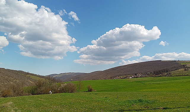 Evlilik kalp hastalıklarından koruyor