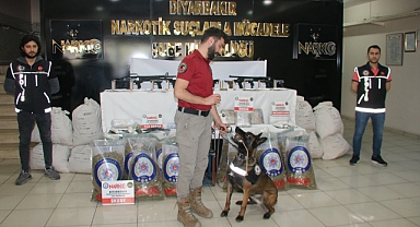 Kökünü Kurutma Operasyonu: 215 gözaltı