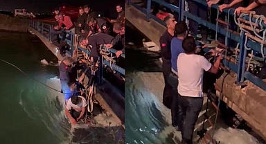 Minibüs sulama kanalına düştü