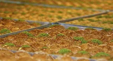 Ramazan'da şerbetli tatlılar yerken dikkat!
