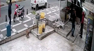 Şanlıurfa'da binadan hırsızlık yapan 2 zanlı tutuklandı