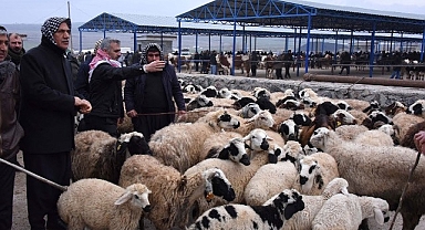 Şanlıurfa'da hayvan pazarı hakkında yeni gelişme!