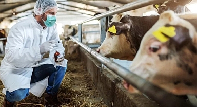 “Şap hastalığı hayvandan insana geçen bir hastalıktır”