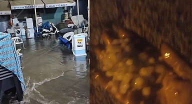 Siverek'te şiddetli yağmur sele neden oldu