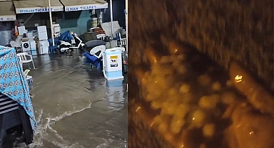Siverek'te şiddetli yağmur sele neden oldu