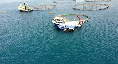 Su ürünleri ihracatında artış yaşandı