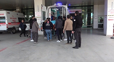 Tarlaya giren hayvan kavgası kanlı bitti