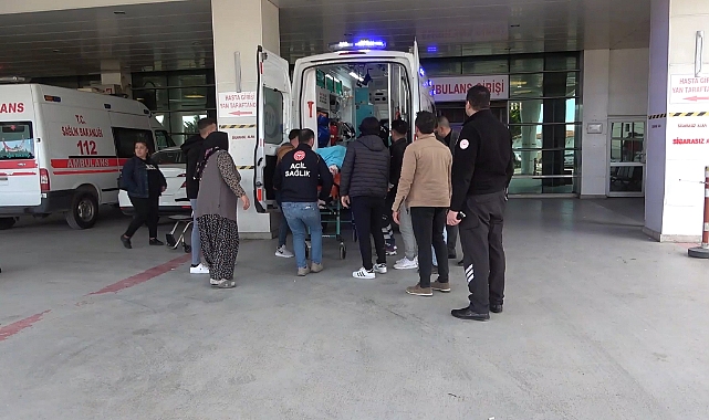 Tarlaya giren hayvan kavgası kanlı bitti