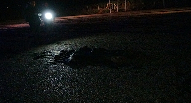 Tırın çarptığı yaya hayatını kaybetti