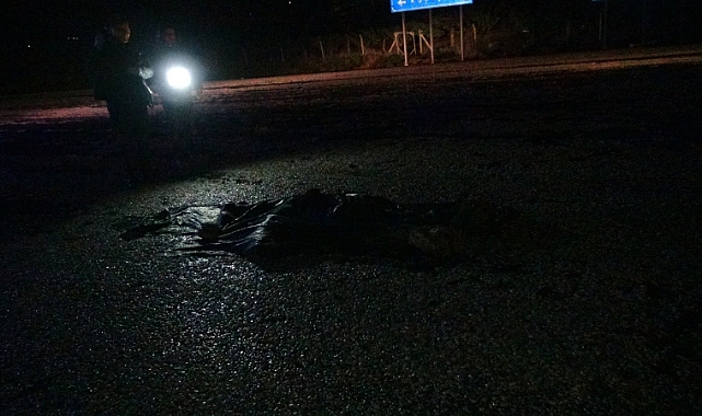 Tırın çarptığı yaya hayatını kaybetti