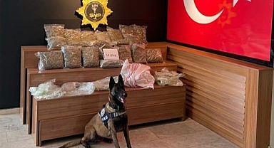 Urfa'da durdurulan araçta uyuşturucu çıktı