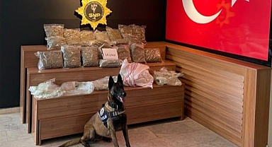 Urfa'da durdurulan araçta uyuşturucu çıktı