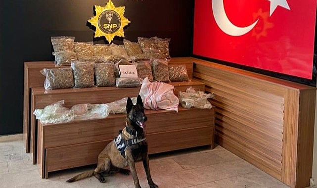 Urfa'da durdurulan araçta uyuşturucu çıktı