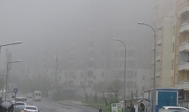 Urfa'da sağanak yağış ve sis etkisini gösterdi