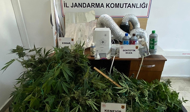 Uyuşturucuya yönelik operasyon! 5 gözaltı