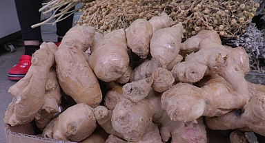 Bahar ve yaz alerjilerinden bu bitki ile korunun