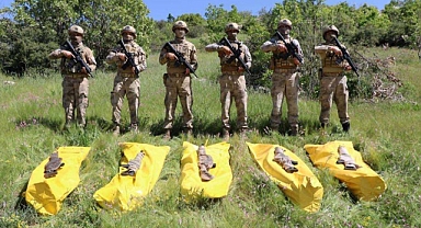 Bakan Soylu, 5 terörist daha etkisiz hale getirildi