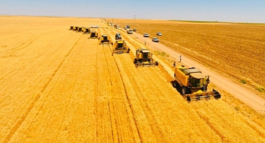 Buğday rekolte tahmini belli oldu