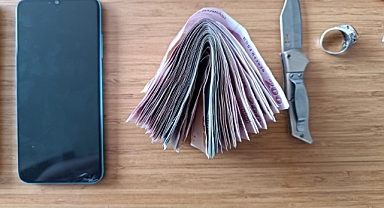 Ceylanpınar'da 2 hırsız şüphelisi yakalandı