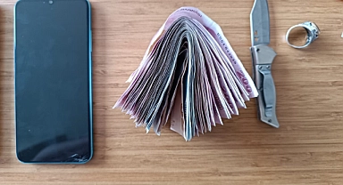 Ceylanpınar'da 2 hırsız şüphelisi yakalandı