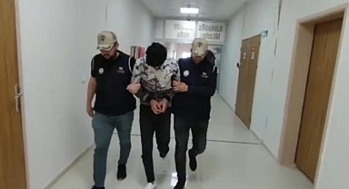 Ceylanpınar'da terör zanlısı gözaltına alındı