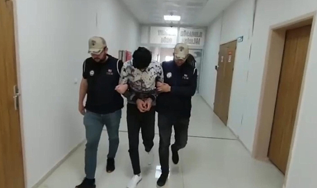 Ceylanpınar'da terör zanlısı gözaltına alındı