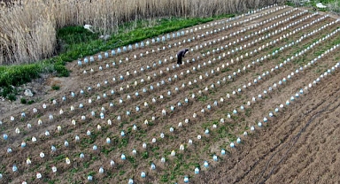 Çiftçinin aldığı önlem görenleri hayrete düşürdü