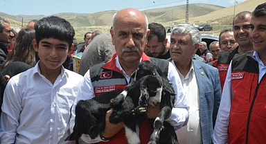 Depremzede yetiştiricilere karşılıksız havyan dağıtımı