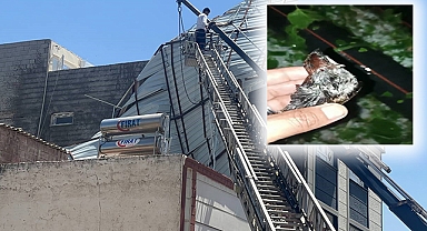 Dolunun meydana getirdiği hasar gün ağarınca ortaya çıktı