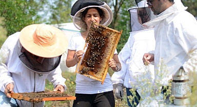 Epilepsi ataklarını doğal çözüm