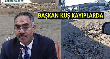 Eyyübiye’den manzaralar!