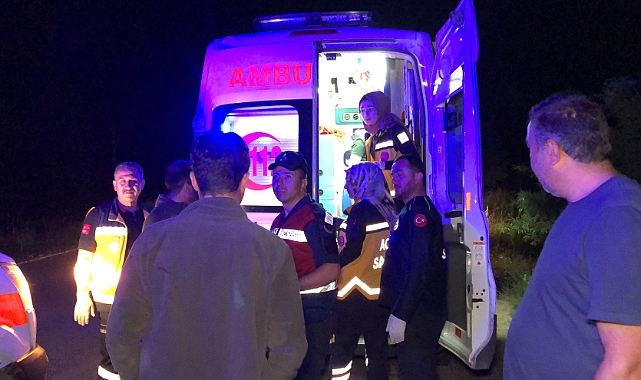 Köpeğe çarpan kamyonet şarampole uçtu: 4 yaralı