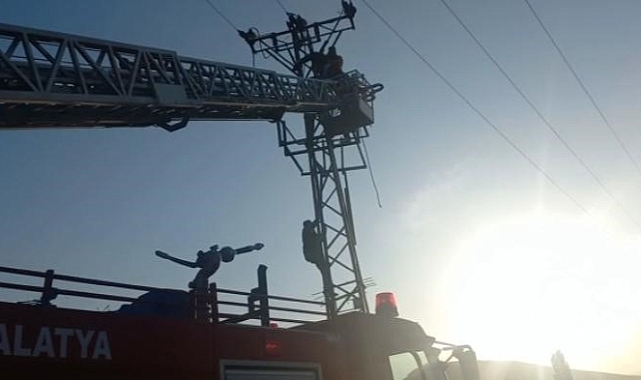 Malatya'da yüksek gerilim hattı can alıyordu