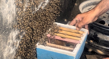 Sanayi esnafı gördüğü manzara karşısında şok oldu