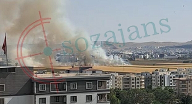 Şanlıurfa'da ekin tarlasında yangın çıktı