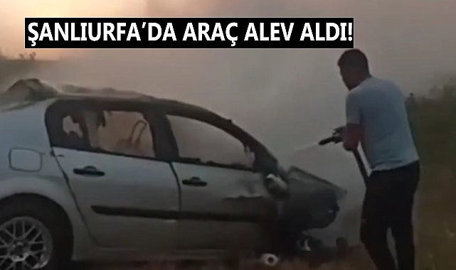 Şanlıurfa'da kayalara çarpan araç alev aldı!