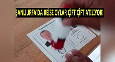 Şanlıurfa'da skandal görüntüler bitmiyor