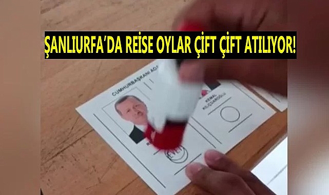 Şanlıurfa'da skandal görüntüler bitmiyor