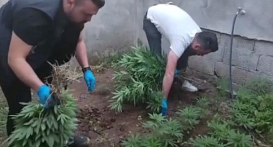 Şanlıurfa'da uyuşturucu tacirlerine darbe